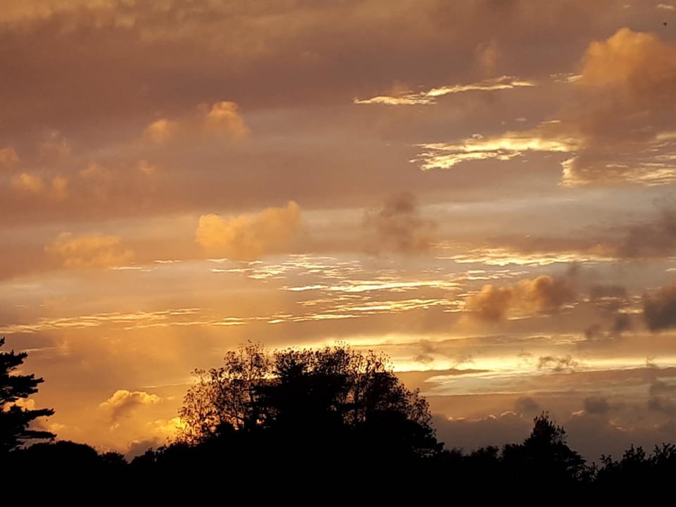 Natural landscape, Street view, Sunset