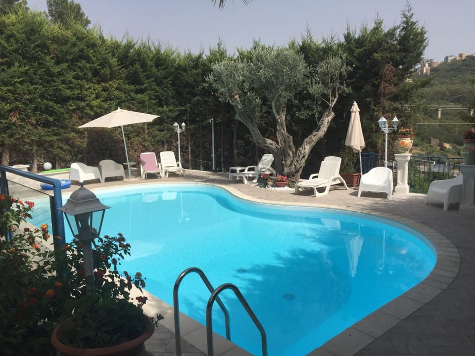 Pool view, Swimming pool