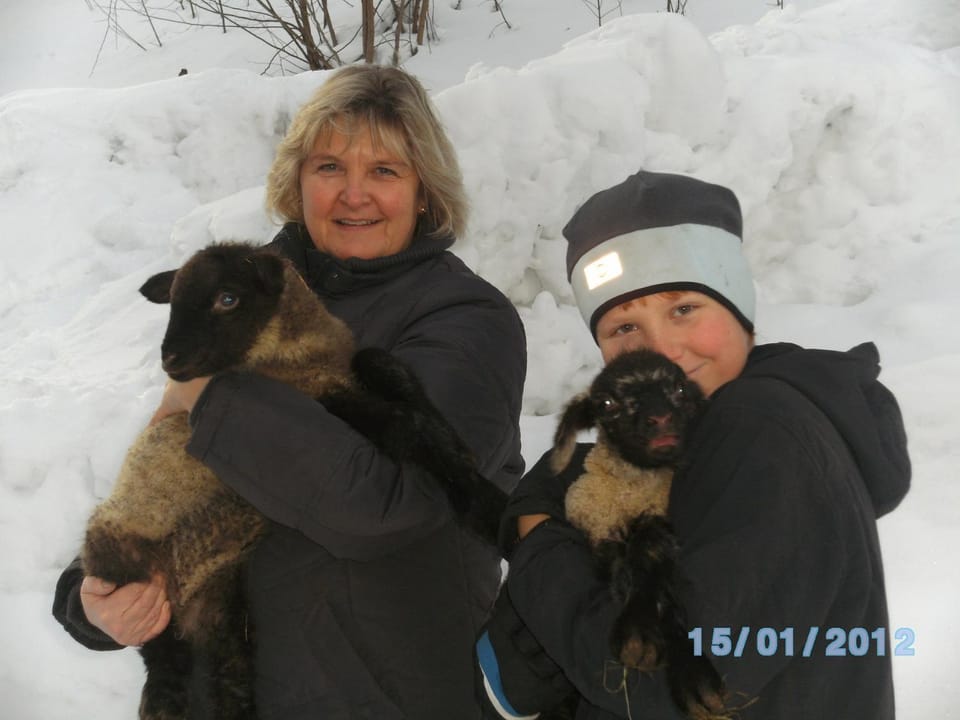 Sulzenhof inkl. Chiemgaukarte Farm Stay in Ruhpolding