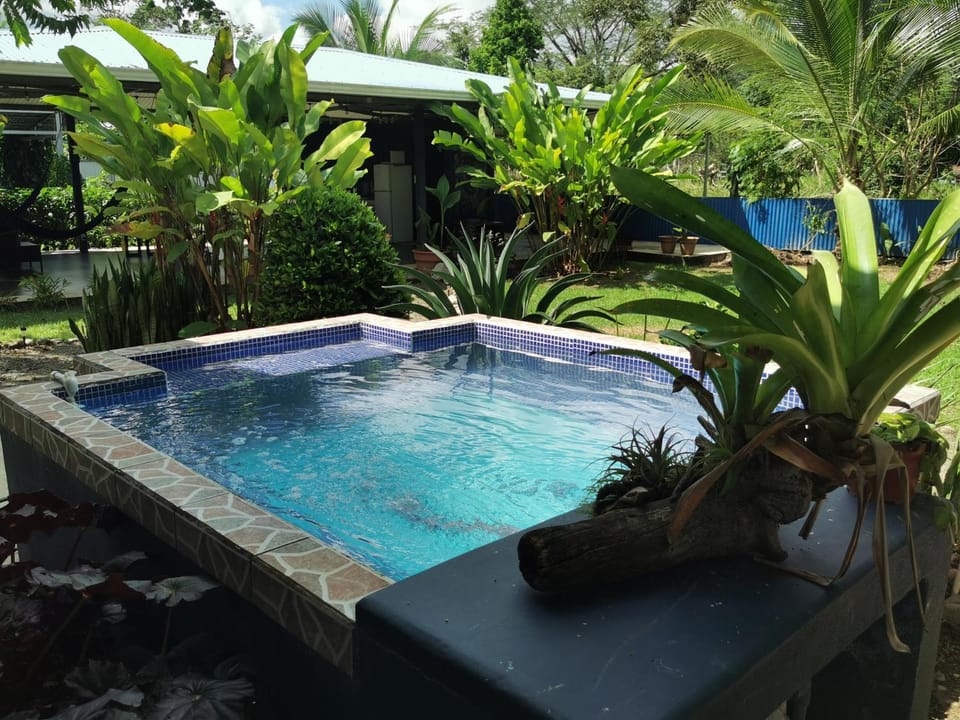Swimming pool, Swimming pool
