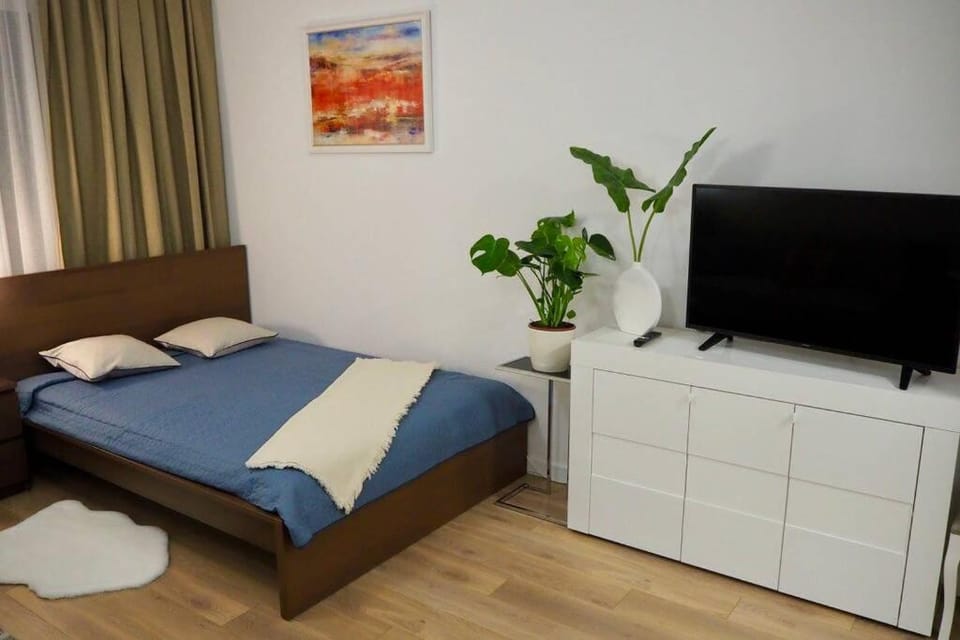 Bed, TV and multimedia, Photo of the whole room, Bedroom