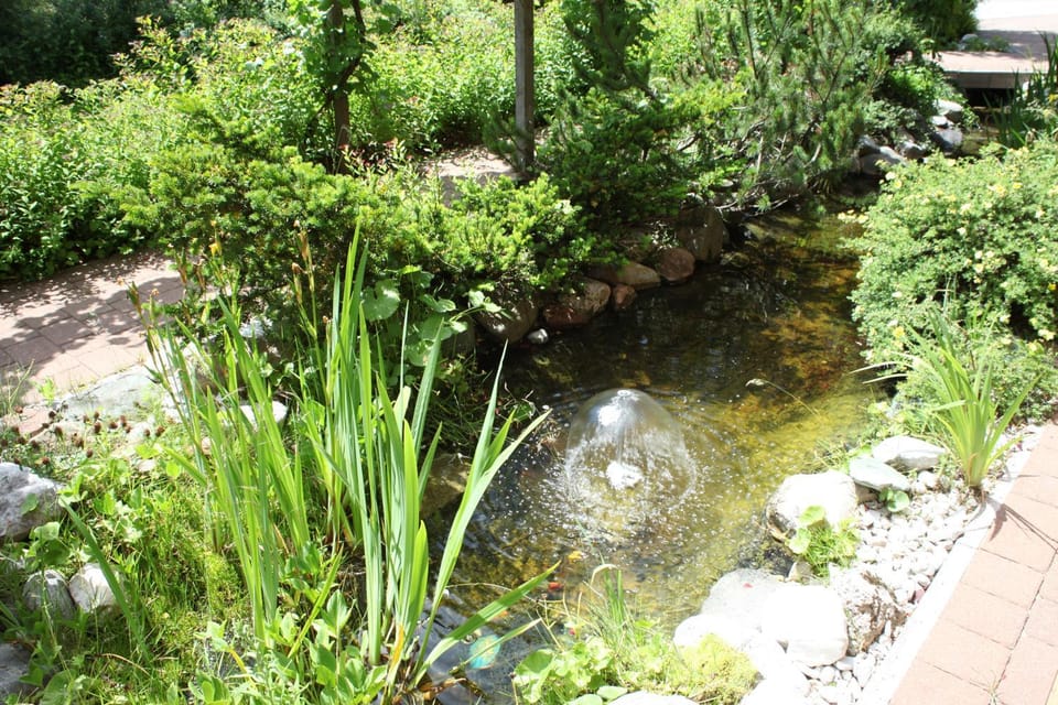 Garden, Garden view