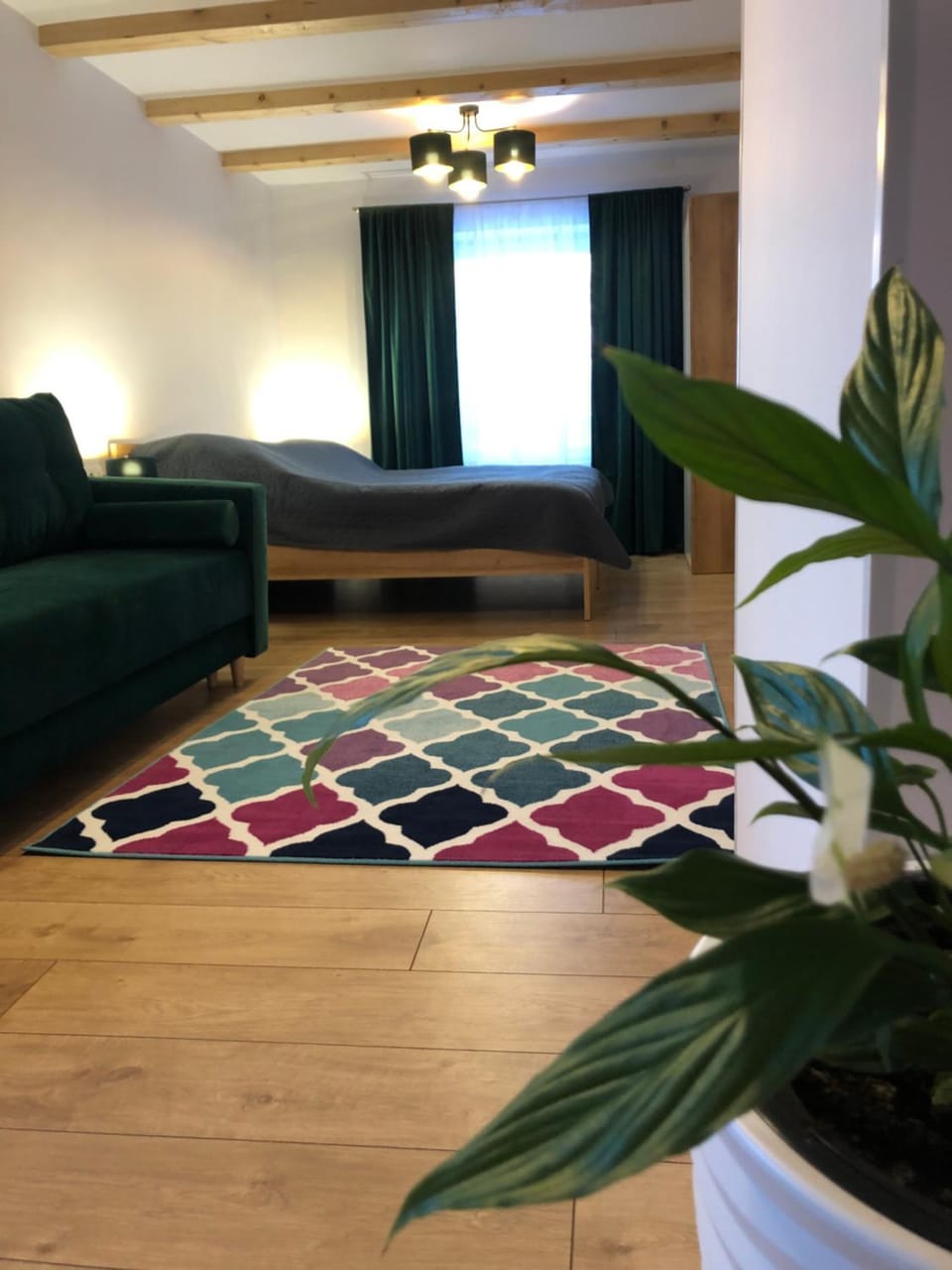 Photo of the whole room