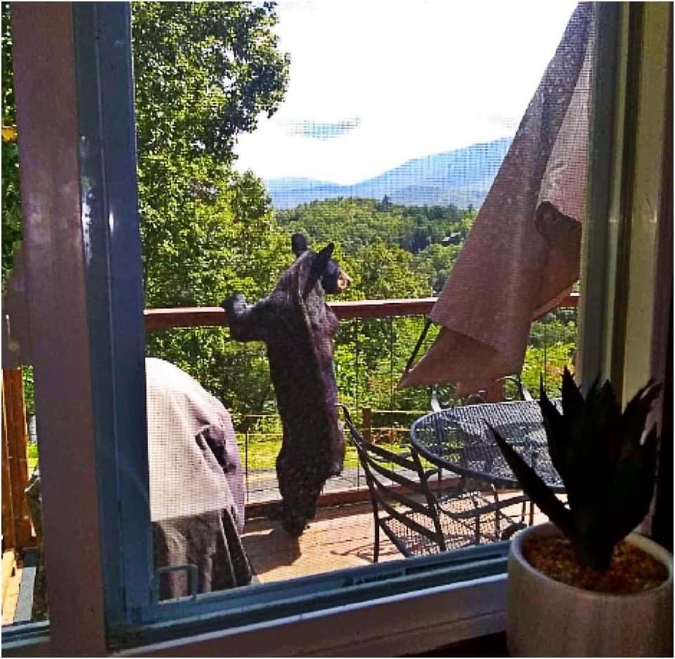 Happy Trails Stunning Smoky Mtn Views Hot Tub Game Room Resort Pools Chalet in Sevier County