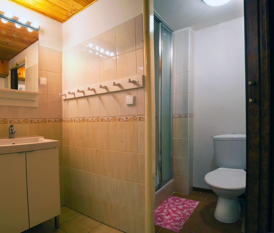 Shower, Toilet