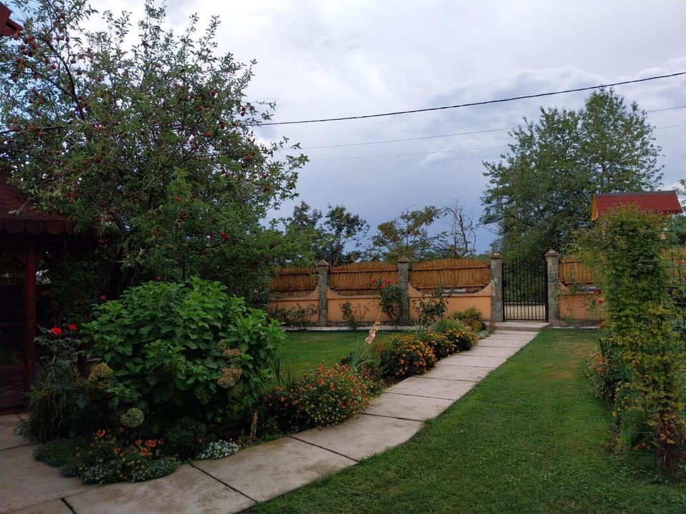 Natural landscape, Garden