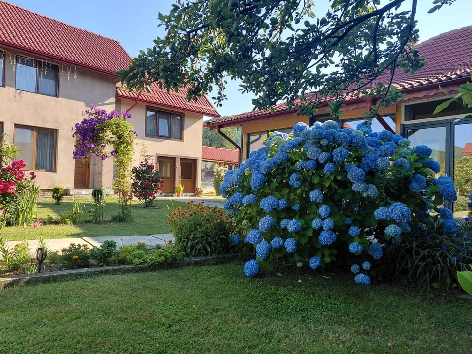 Casa Stefi si Alexia Bed and Breakfast in Romania