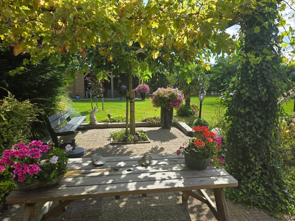 B&B WELKOM with or no breakfast Bed and Breakfast in Zeeland, Netherlands