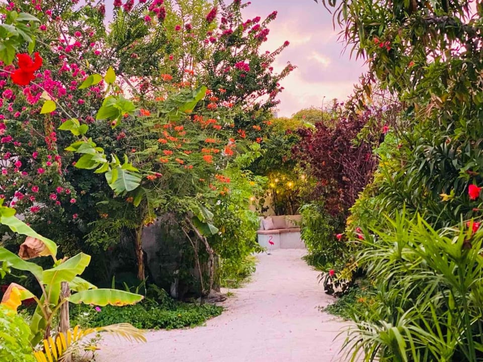 Garden, Garden view