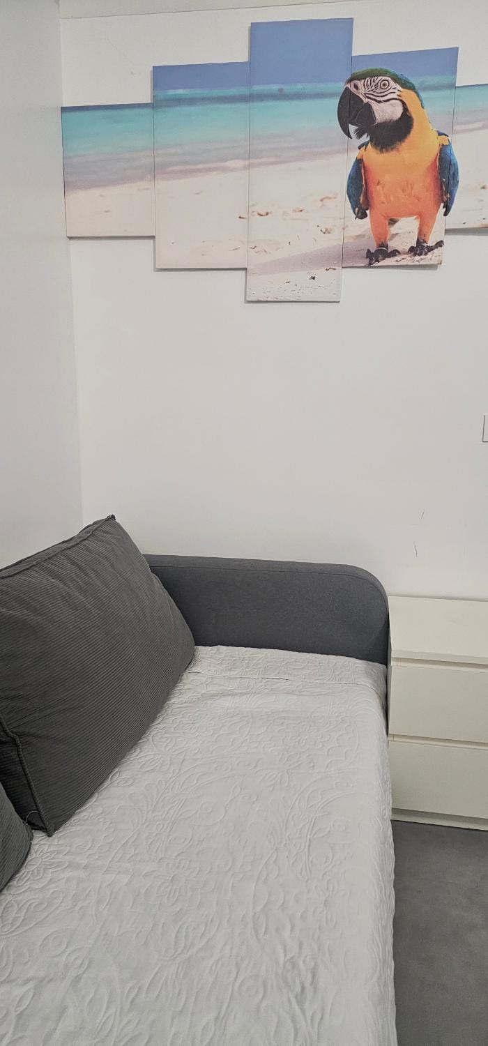 Photo of the whole room