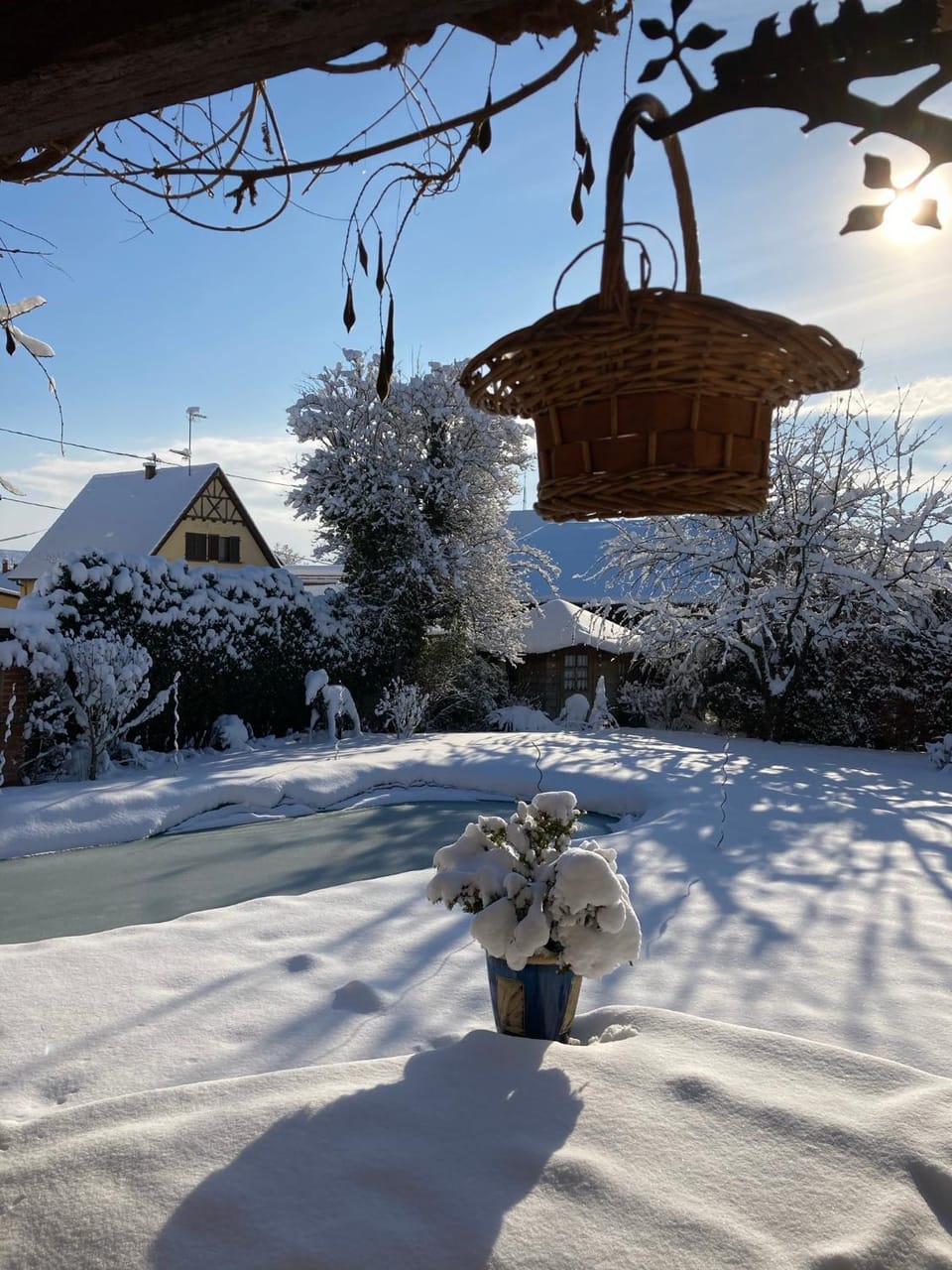 Winter, Garden view