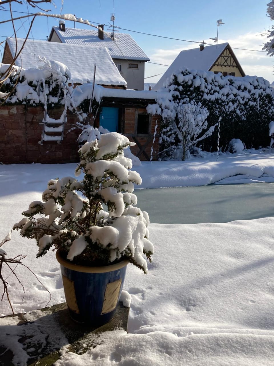 Winter, Garden view