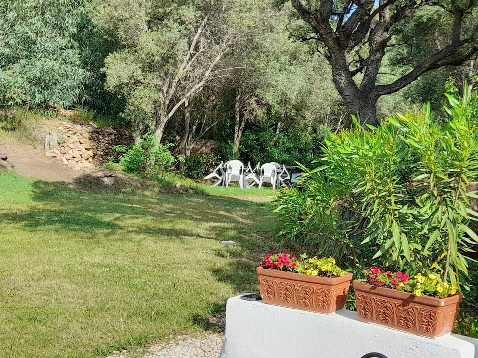 L'Ulivo Farm Stay in Sardinia