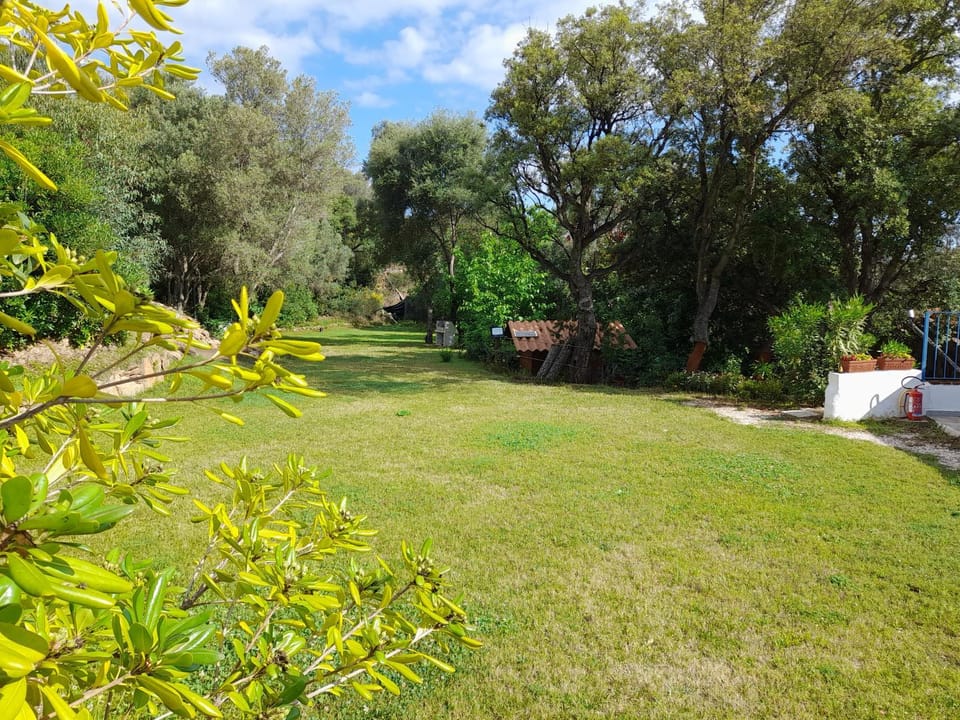 L'Ulivo Farm Stay in Sardinia