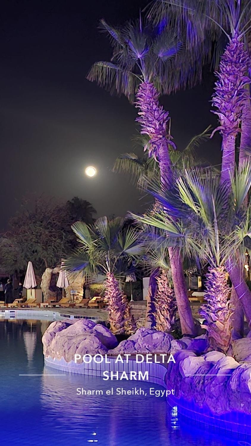 Delta Sharm Apartment in Sharm El-Sheikh