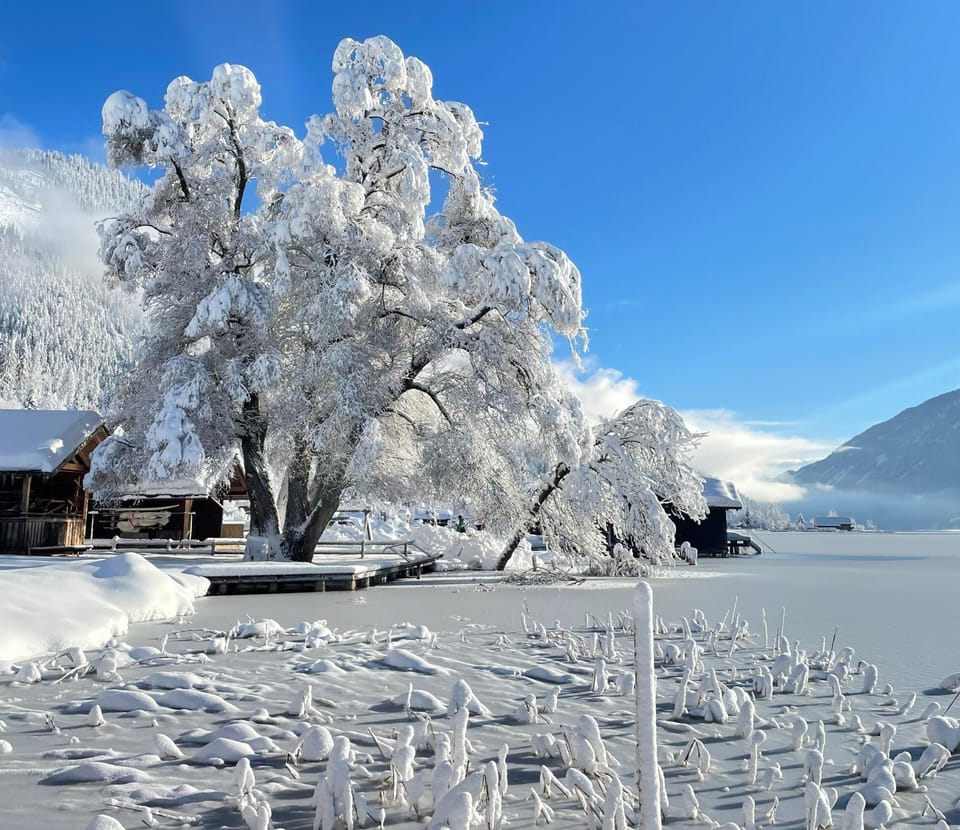 Natural landscape, Winter, Lake view