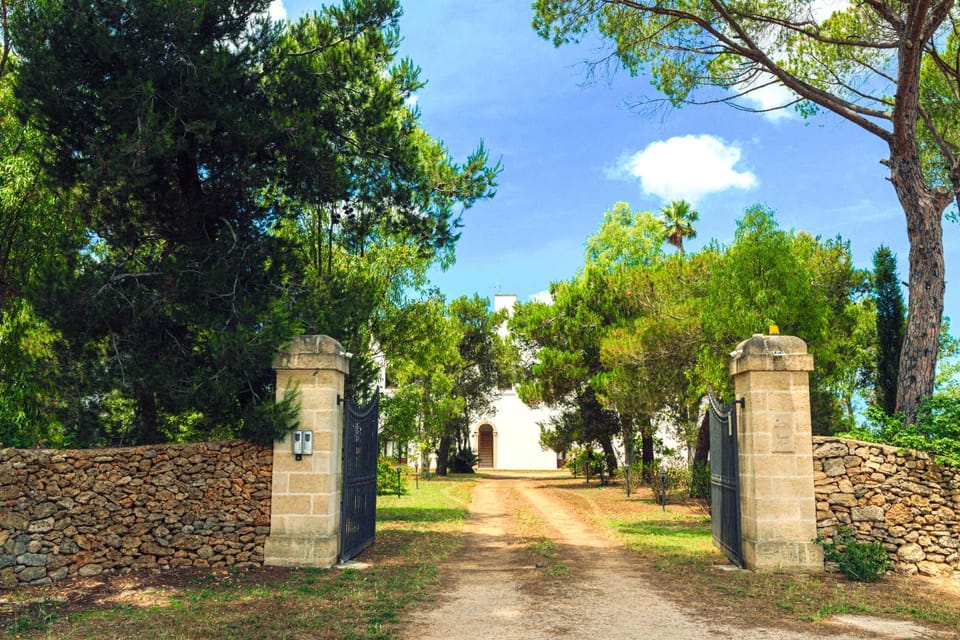 Facade/entrance, Garden