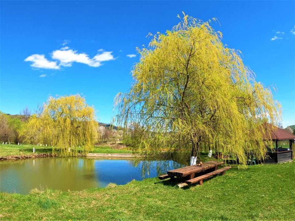 Garden, Lake view