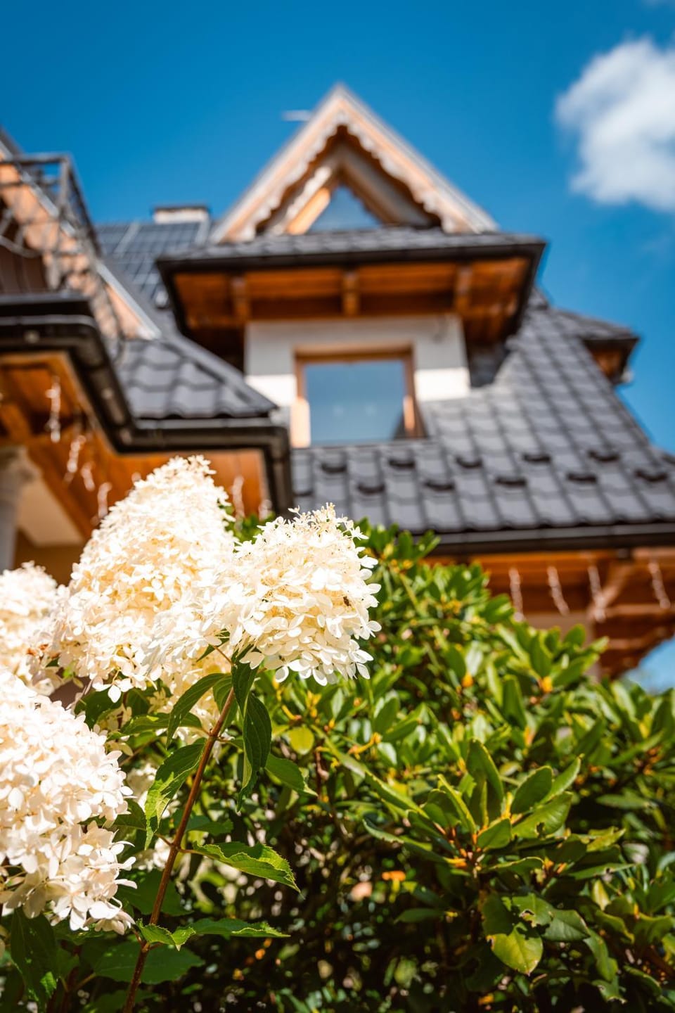 Property building, Garden view
