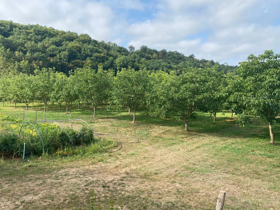 View (from property/room)
