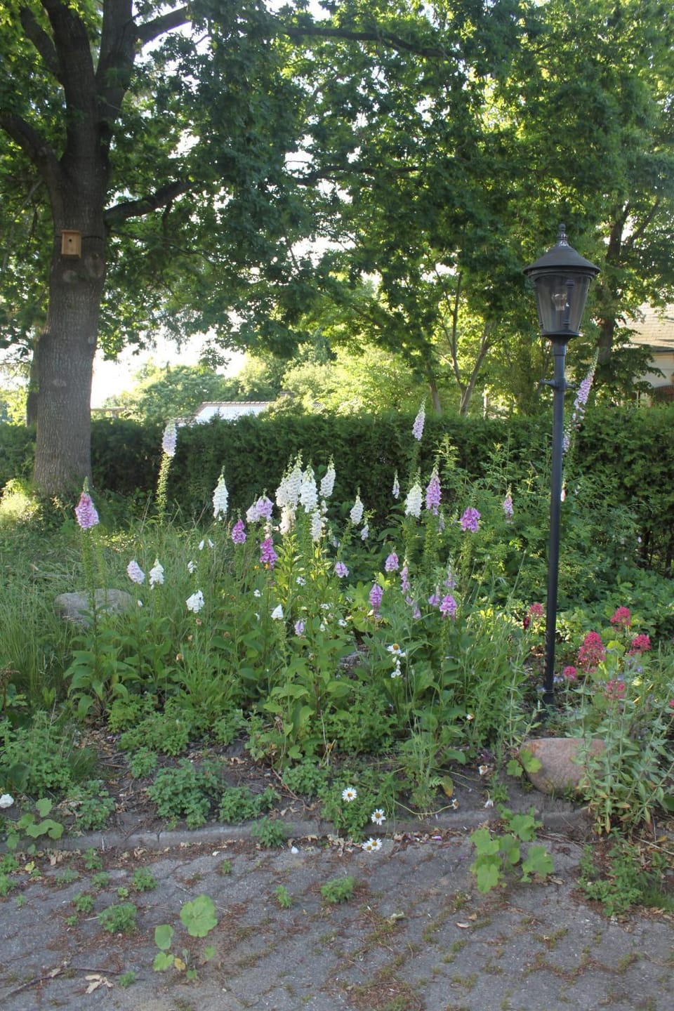 Ferienwohnung Mühlenweg Apartment in Nordfriesland