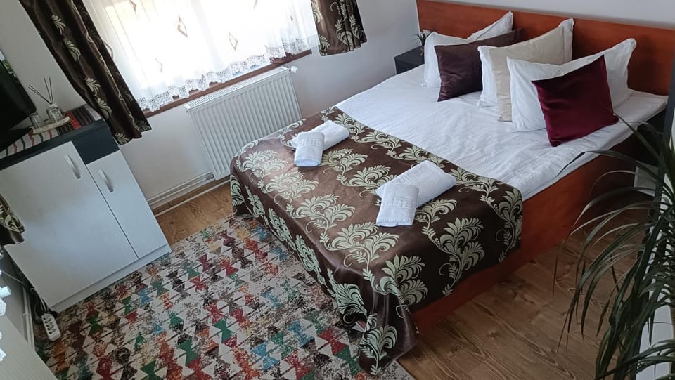 Casa Alex Bed and Breakfast in Romania