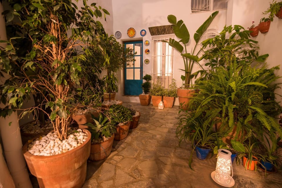 Property building, Garden