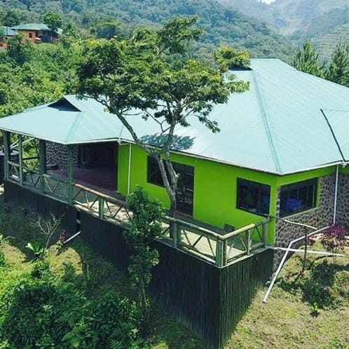 Gorilla Hills Eco-lodge Bed and Breakfast in Uganda