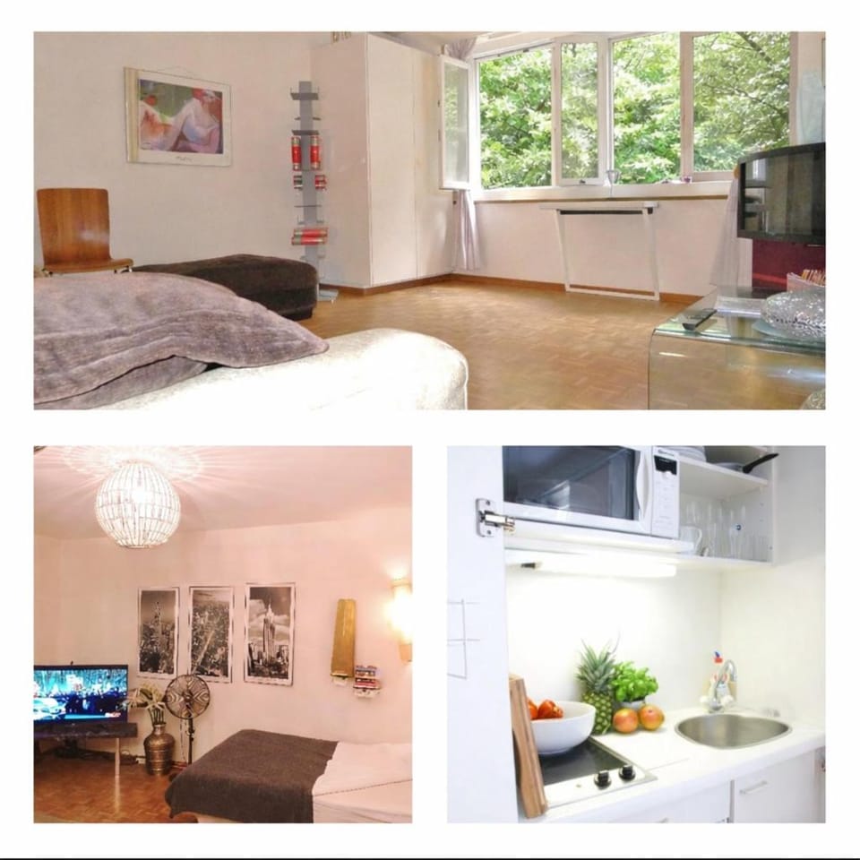 Zähringerplatz old town Zurich Apartment in Zurich City