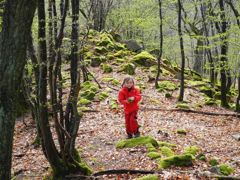 Hiking