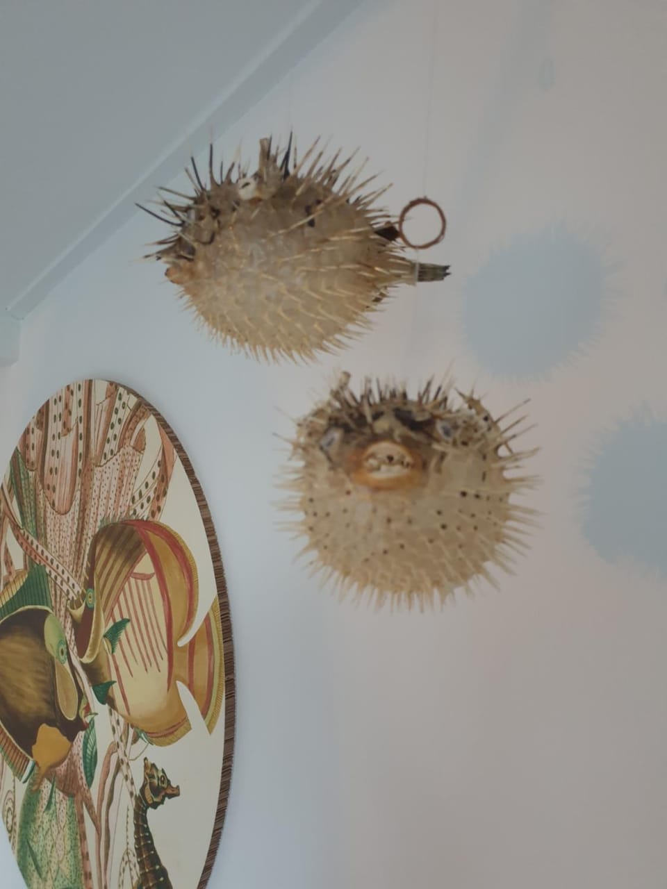 Little Lodge Noordwijk aan Zee Apartment in Noordwijk