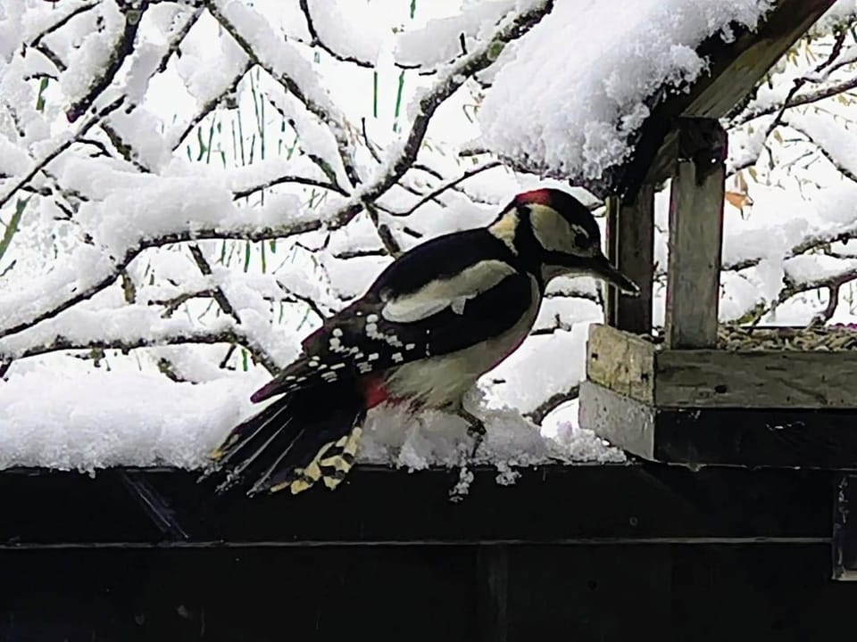 Haus 4-Jahreszeiten House in Berchtesgadener Land