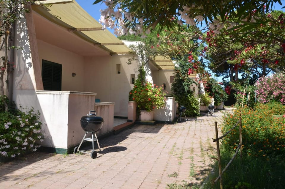 BBQ facilities