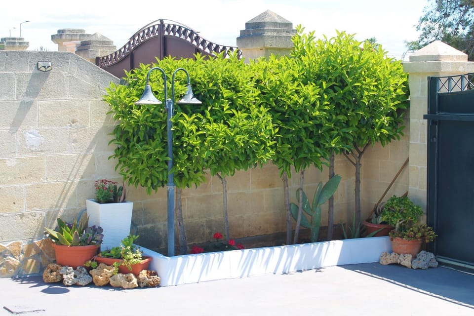 Appartamento Mary House in Porto Cesareo