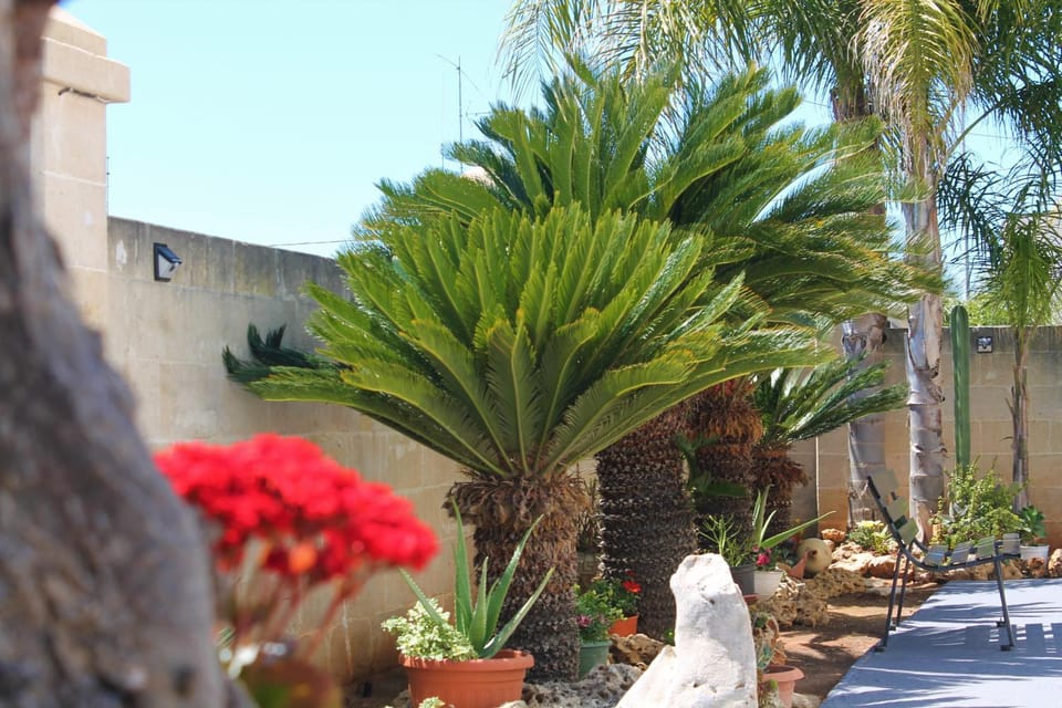 Appartamento Mary House in Porto Cesareo