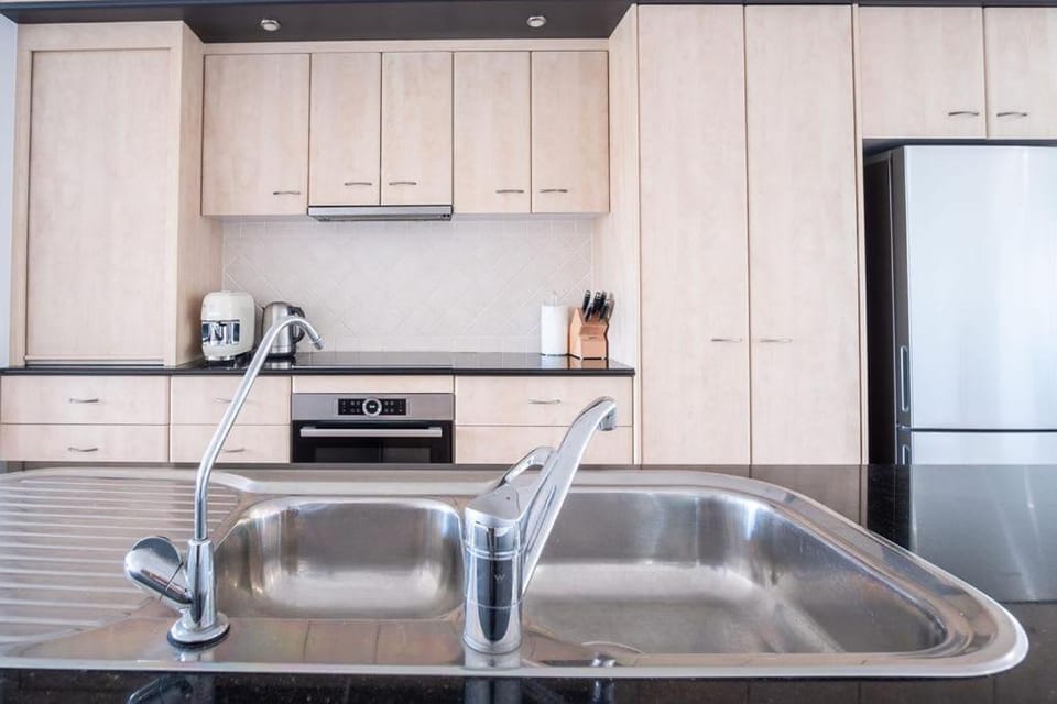 Kitchen or kitchenette, dishwasher, minibar, stove