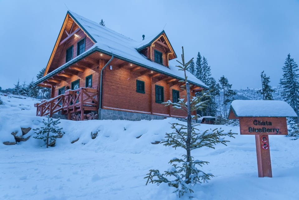 Property building, Facade/entrance, Natural landscape, Winter, Ski School, Skiing, Skiing, Mountain view, Mountain view