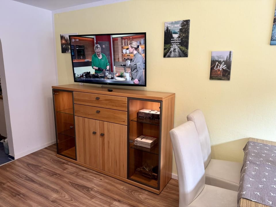 TV and multimedia