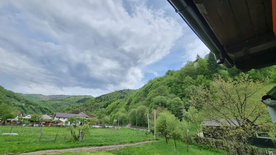Pensiunea Barsan Bed and Breakfast in Romania
