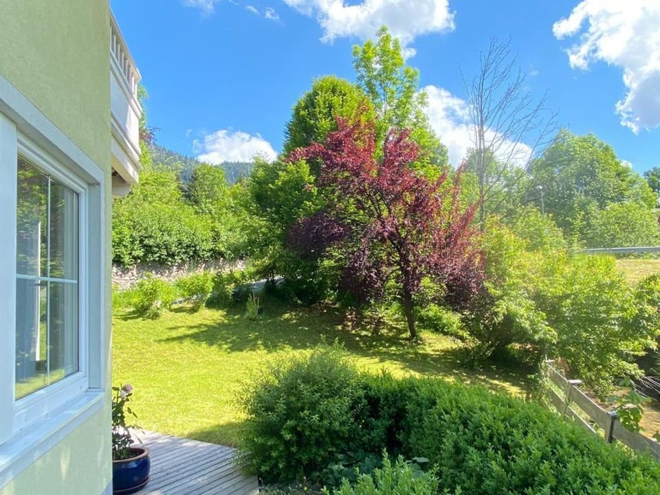 Buchensteinblick Apartment in Salzburgerland