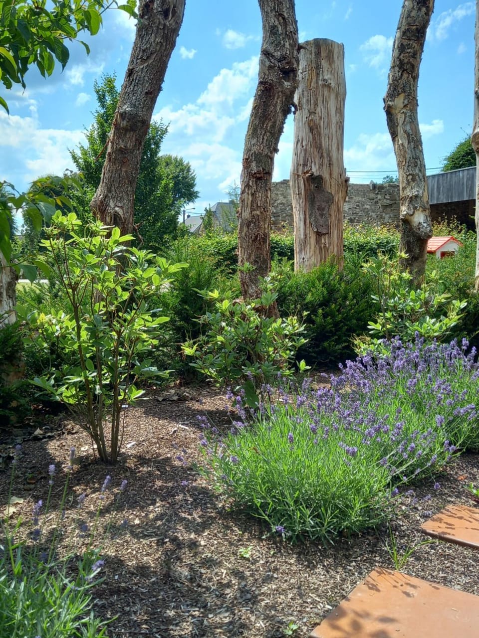 Le jardin des fagnes House in Wallonia, Belgium