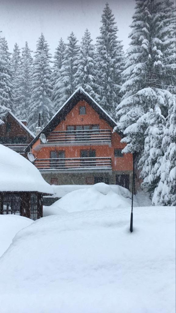 Garden, Skiing, Skiing