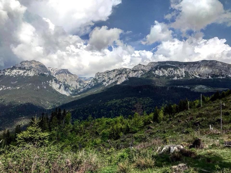 Mountain view