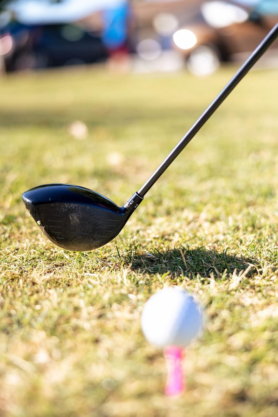 Golfcourse