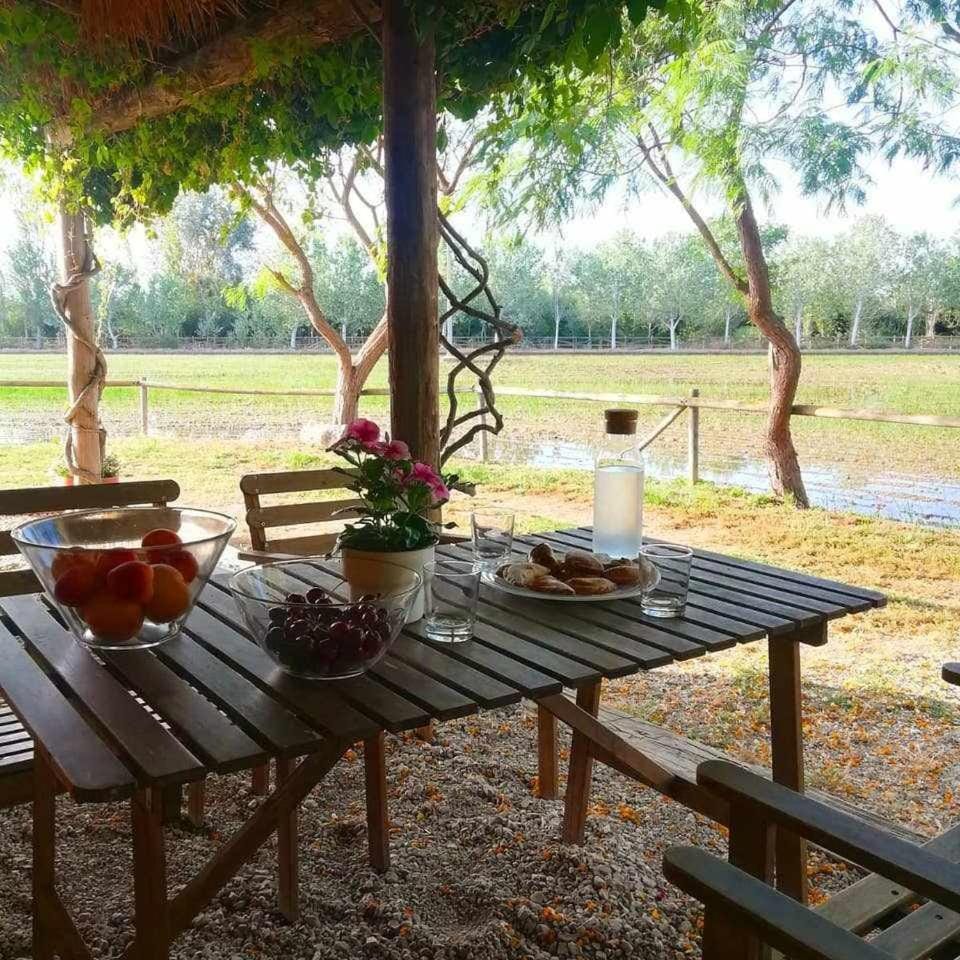 Patio, BBQ facilities, Garden