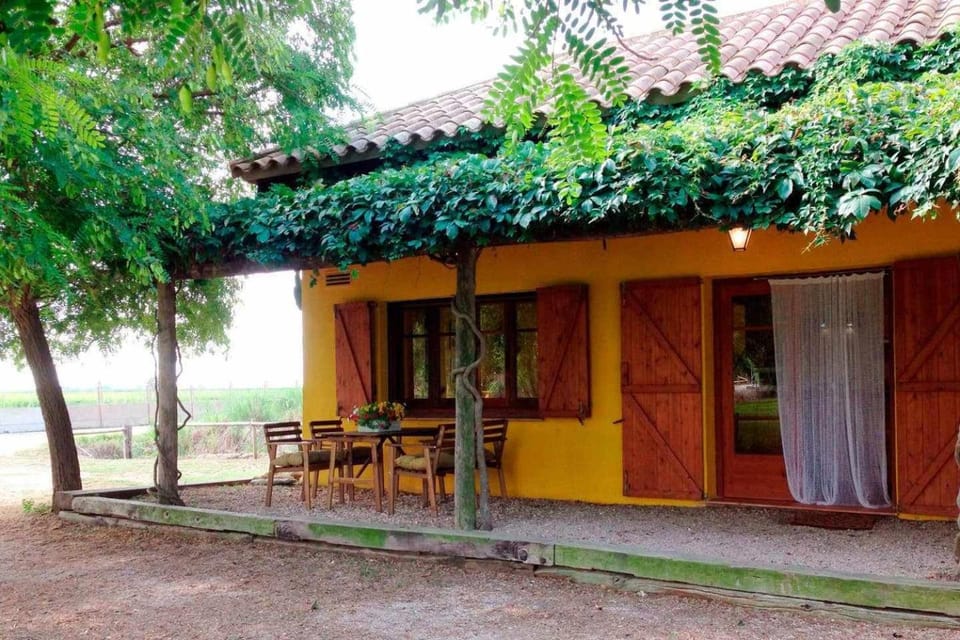 Property building, Patio, Facade/entrance