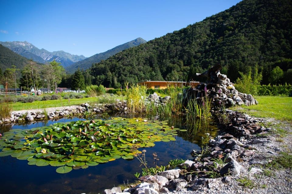 Garden, Garden view
