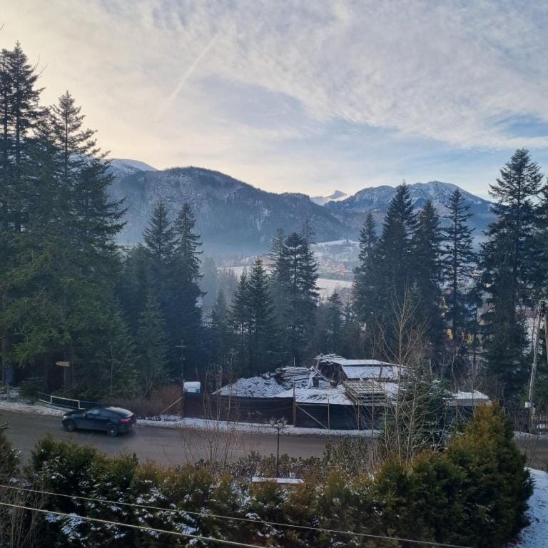 Winter, View (from property/room), Mountain view