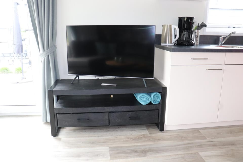 TV and multimedia