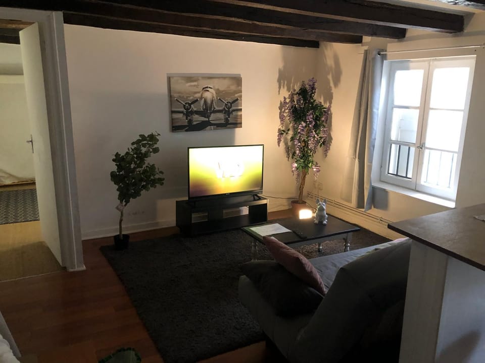 Appart Hôtel Le Victor Hugo 3 G sa pizza offerte Apartment in Aurillac